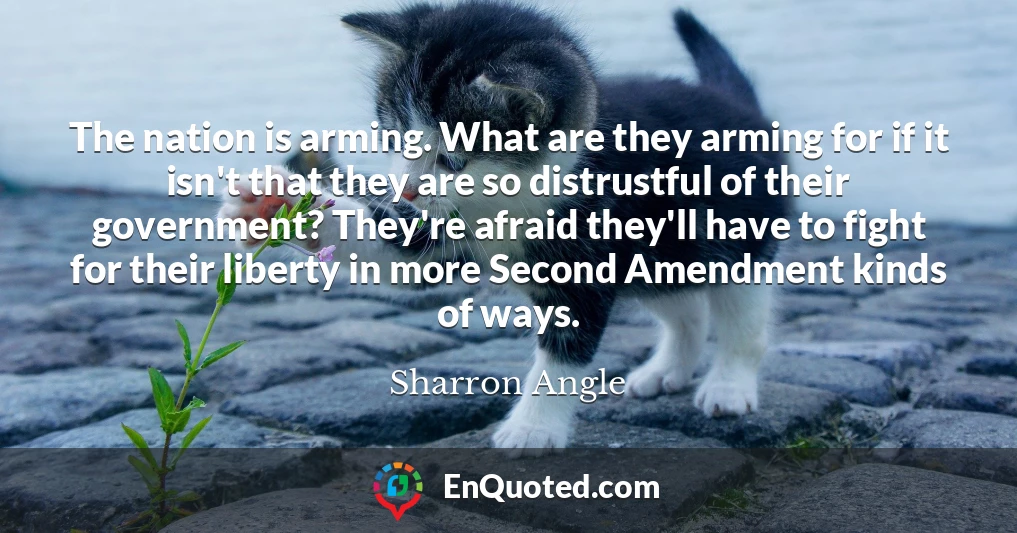 The nation is arming. What are they arming for if it isn't that they are so distrustful of their government? They're afraid they'll have to fight for their liberty in more Second Amendment kinds of ways.