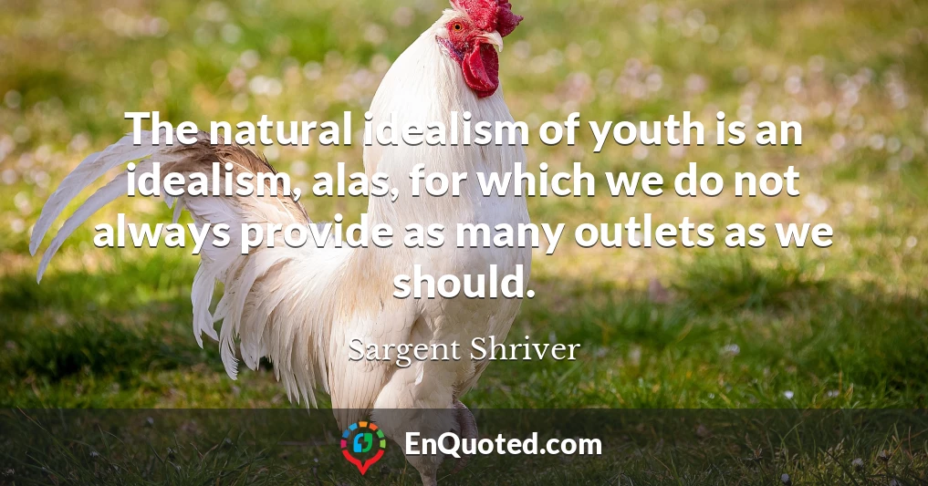The natural idealism of youth is an idealism, alas, for which we do not always provide as many outlets as we should.