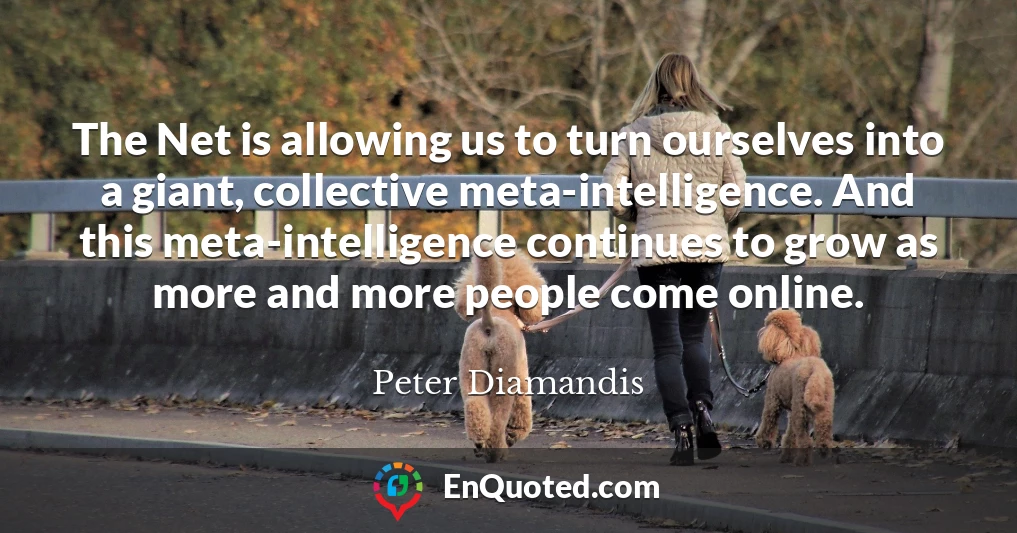 The Net is allowing us to turn ourselves into a giant, collective meta-intelligence. And this meta-intelligence continues to grow as more and more people come online.