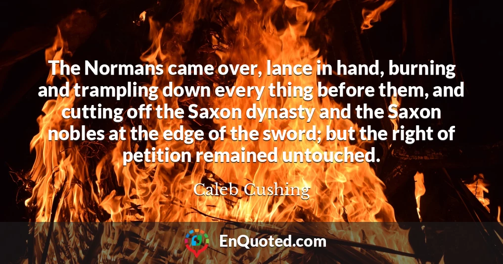 The Normans came over, lance in hand, burning and trampling down every thing before them, and cutting off the Saxon dynasty and the Saxon nobles at the edge of the sword; but the right of petition remained untouched.