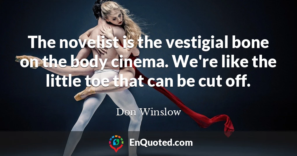 The novelist is the vestigial bone on the body cinema. We're like the little toe that can be cut off.