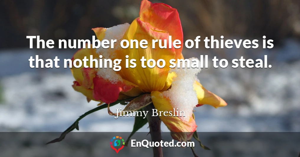 The number one rule of thieves is that nothing is too small to steal.
