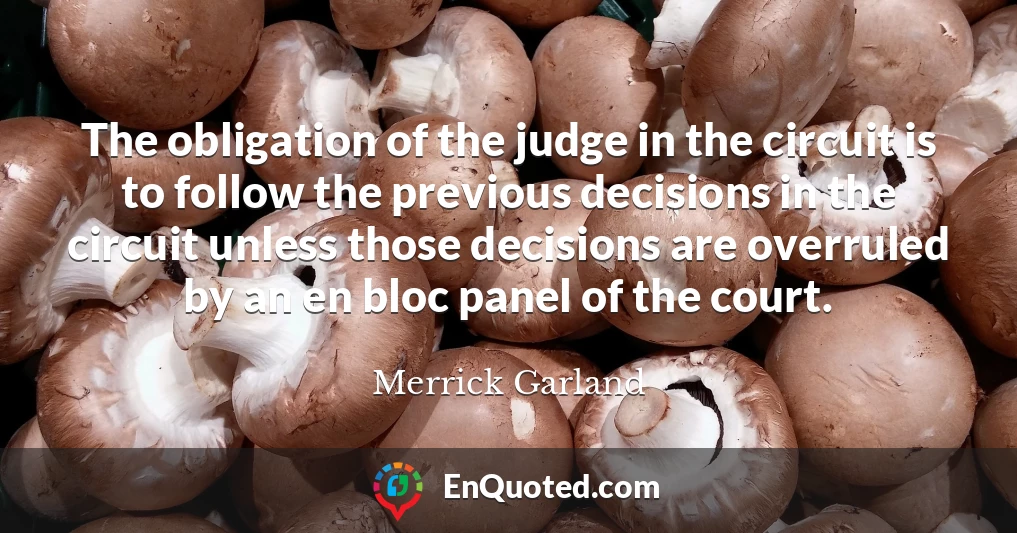 The obligation of the judge in the circuit is to follow the previous decisions in the circuit unless those decisions are overruled by an en bloc panel of the court.