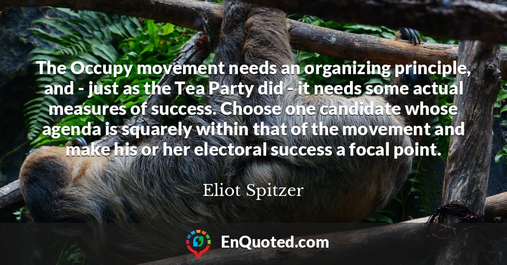 The Occupy movement needs an organizing principle, and - just as the Tea Party did - it needs some actual measures of success. Choose one candidate whose agenda is squarely within that of the movement and make his or her electoral success a focal point.