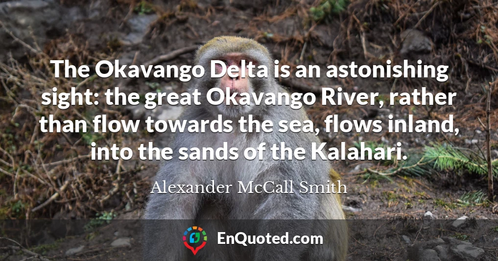 The Okavango Delta is an astonishing sight: the great Okavango River, rather than flow towards the sea, flows inland, into the sands of the Kalahari.