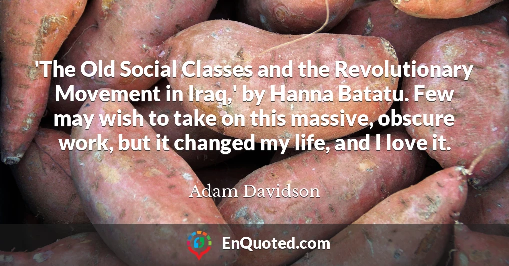 'The Old Social Classes and the Revolutionary Movement in Iraq,' by Hanna Batatu. Few may wish to take on this massive, obscure work, but it changed my life, and I love it.