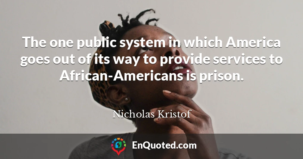 The one public system in which America goes out of its way to provide services to African-Americans is prison.