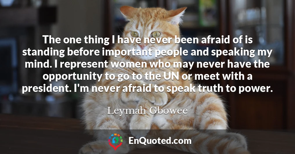 The one thing I have never been afraid of is standing before important people and speaking my mind. I represent women who may never have the opportunity to go to the UN or meet with a president. I'm never afraid to speak truth to power.