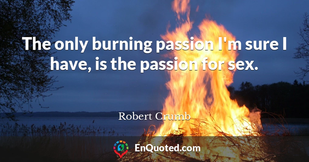 The only burning passion I'm sure I have, is the passion for sex.