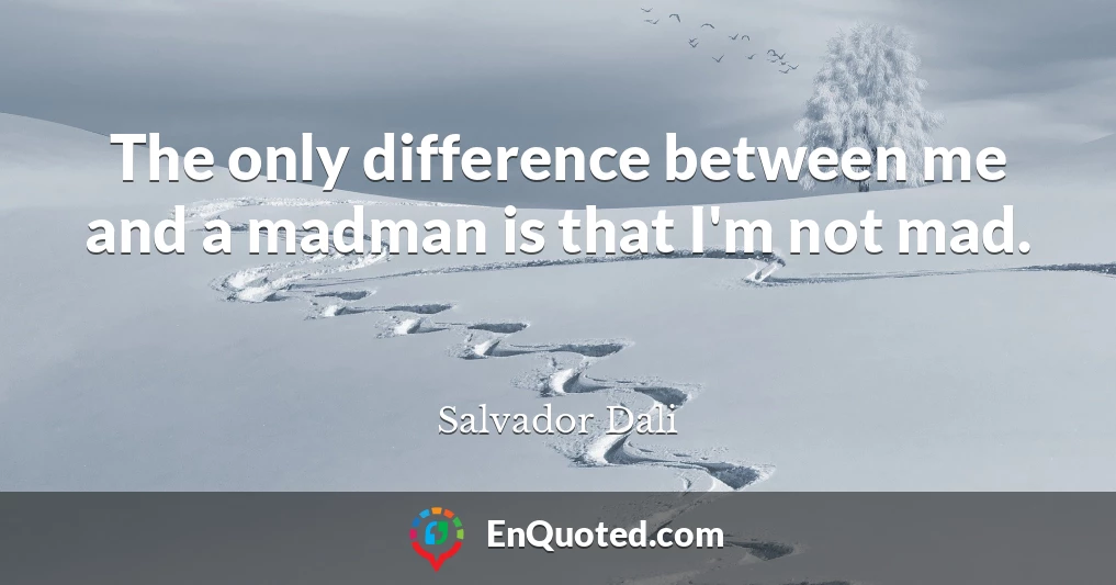 The only difference between me and a madman is that I'm not mad.
