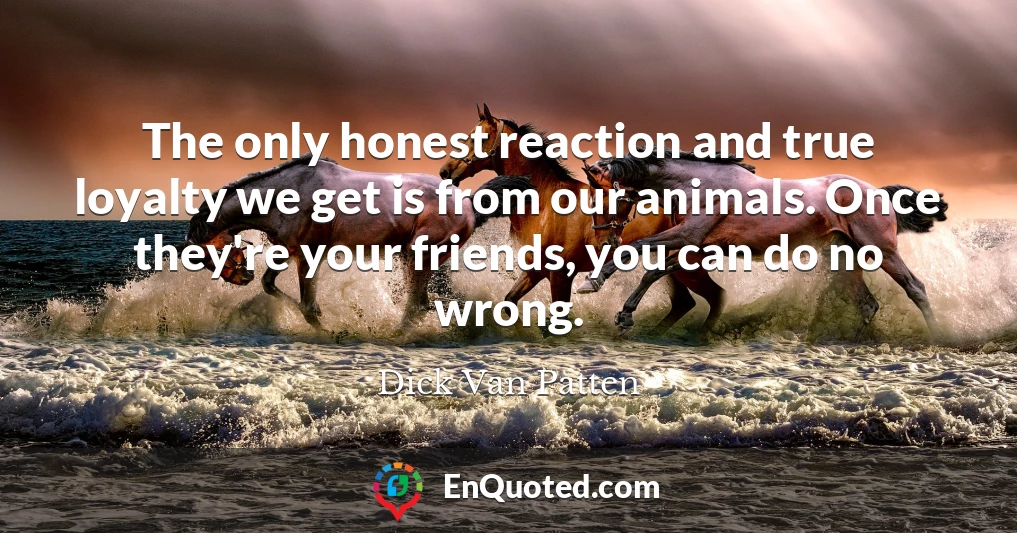 The only honest reaction and true loyalty we get is from our animals. Once they're your friends, you can do no wrong.