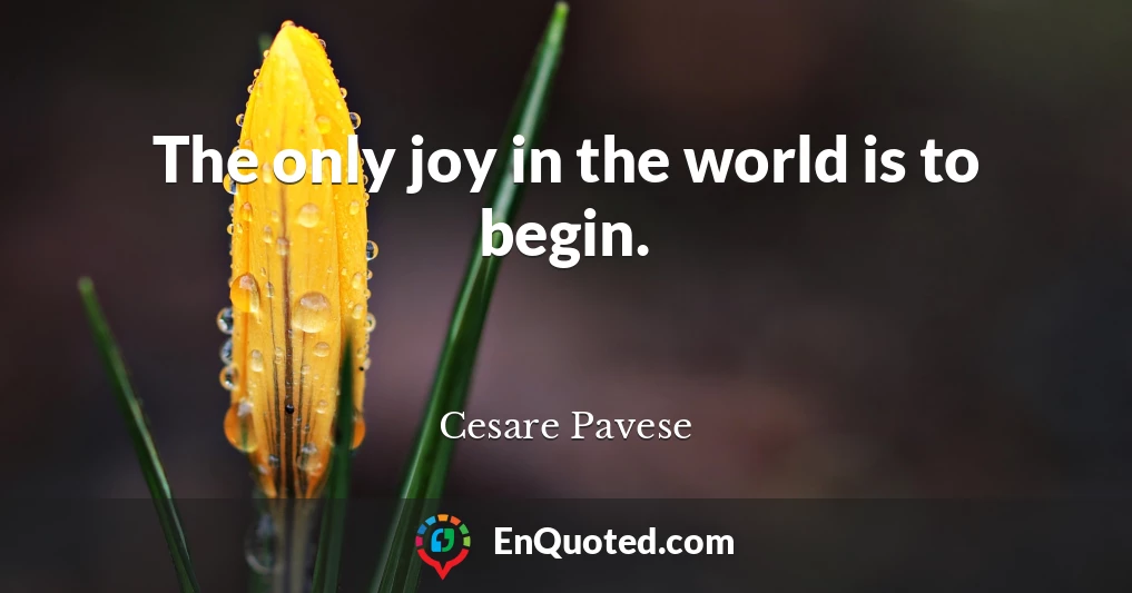 The only joy in the world is to begin.