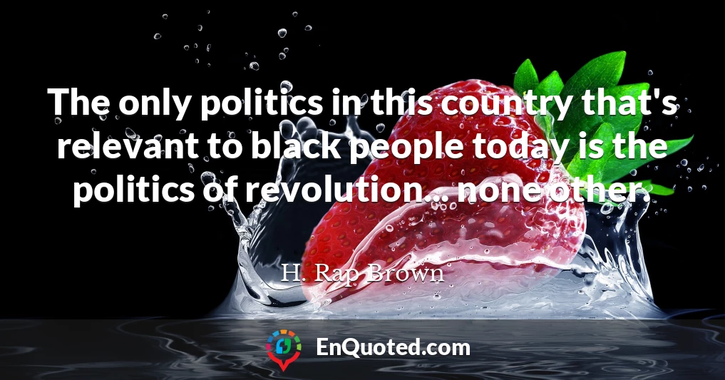 The only politics in this country that's relevant to black people today is the politics of revolution... none other.