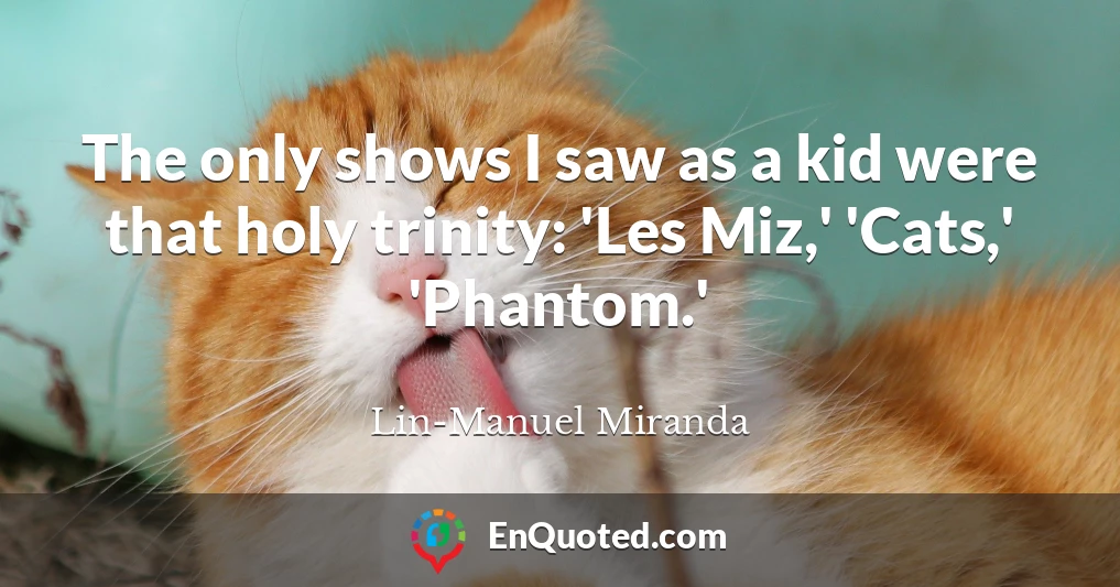 The only shows I saw as a kid were that holy trinity: 'Les Miz,' 'Cats,' 'Phantom.'