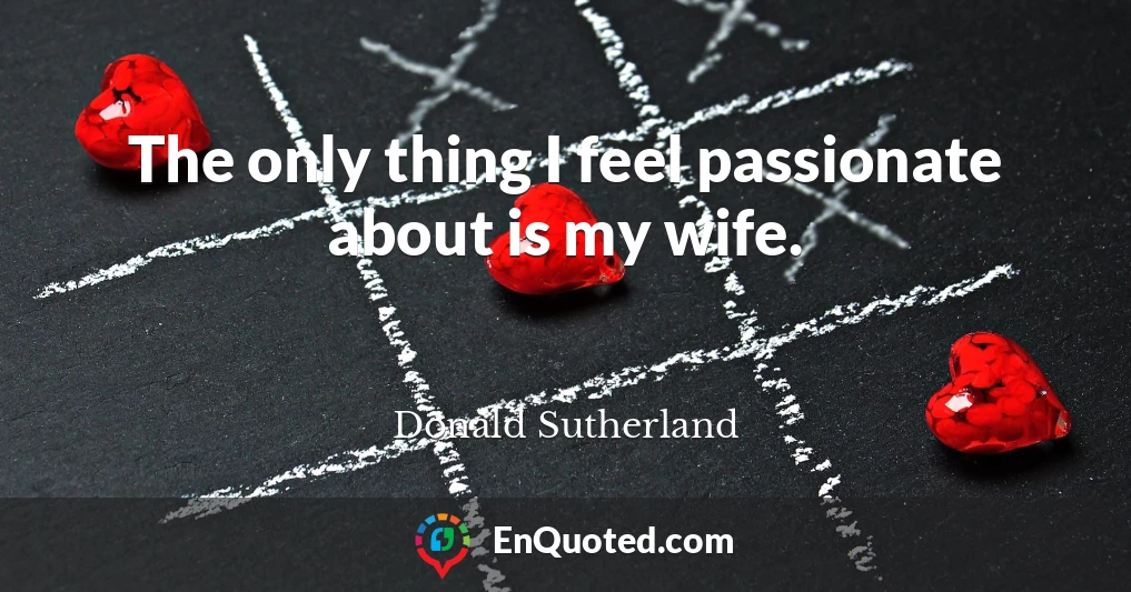 The only thing I feel passionate about is my wife.