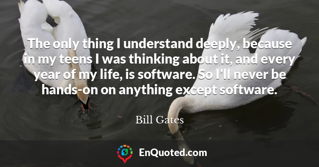The only thing I understand deeply, because in my teens I was thinking about it, and every year of my life, is software. So I'll never be hands-on on anything except software.