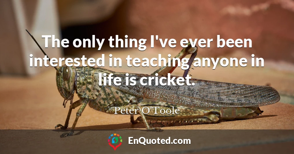 The only thing I've ever been interested in teaching anyone in life is cricket.