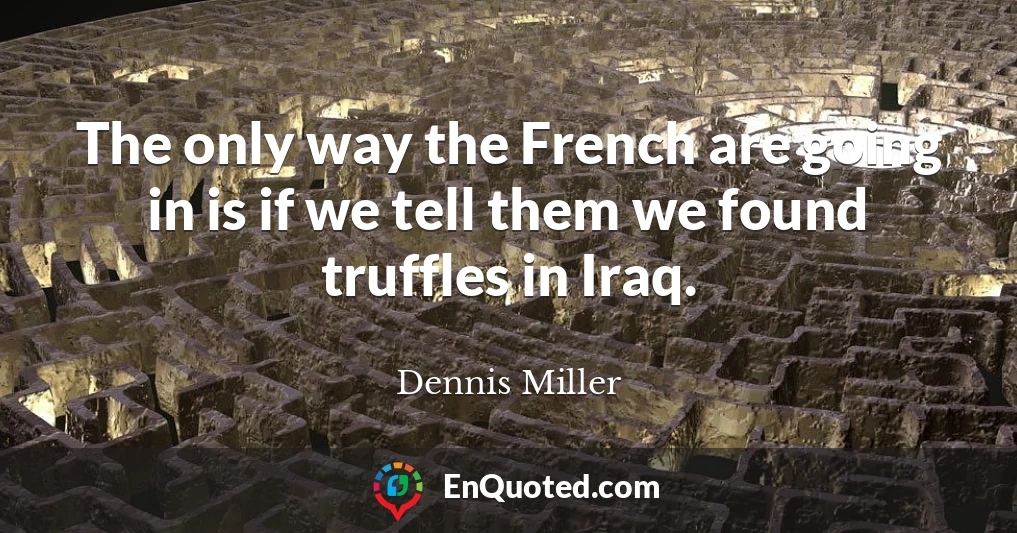 The only way the French are going in is if we tell them we found truffles in Iraq.