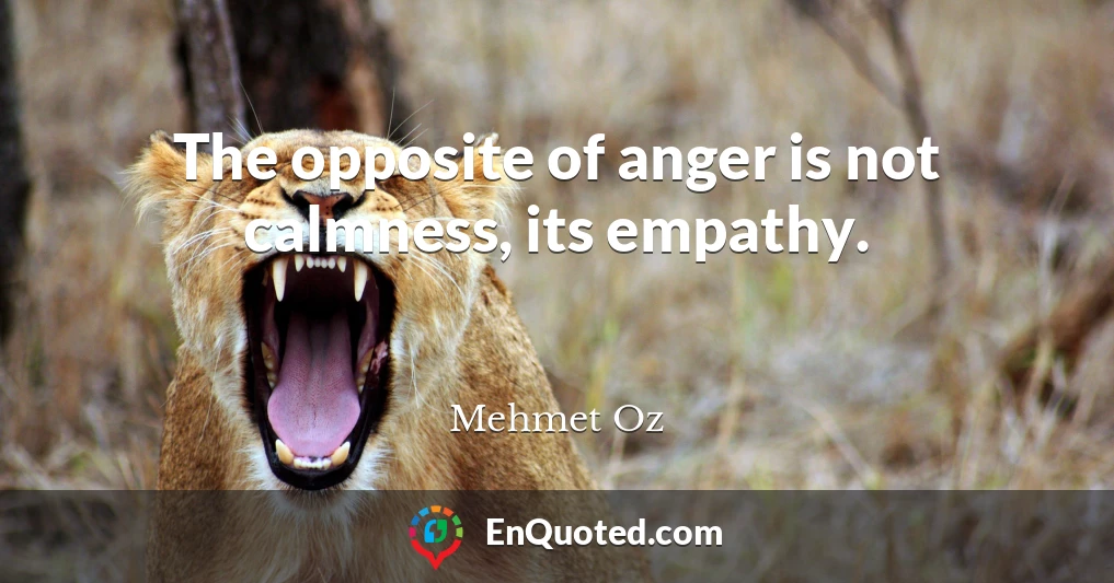 The opposite of anger is not calmness, its empathy.