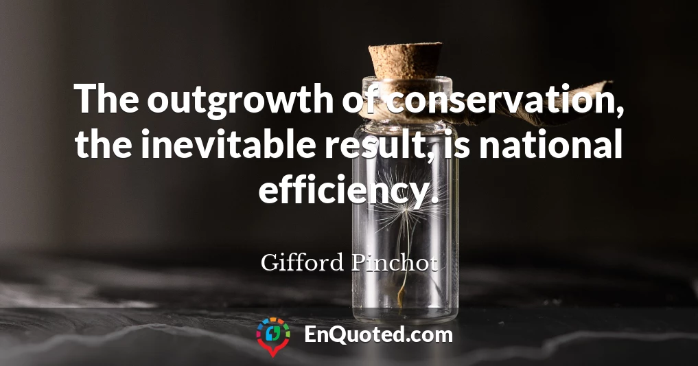 The outgrowth of conservation, the inevitable result, is national efficiency.
