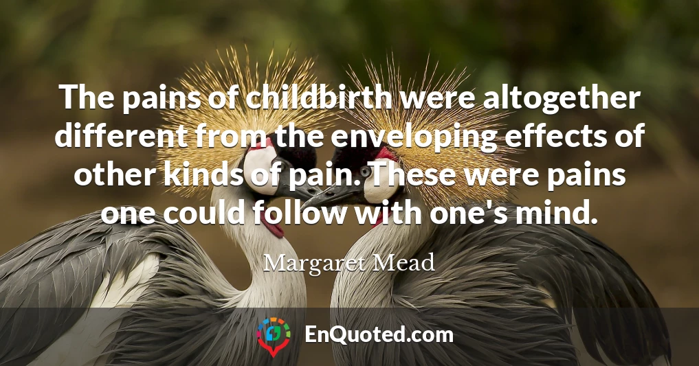 The pains of childbirth were altogether different from the enveloping effects of other kinds of pain. These were pains one could follow with one's mind.