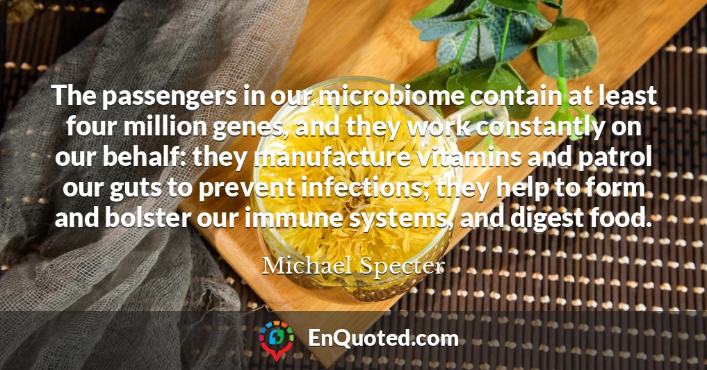 The passengers in our microbiome contain at least four million genes, and they work constantly on our behalf: they manufacture vitamins and patrol our guts to prevent infections; they help to form and bolster our immune systems, and digest food.