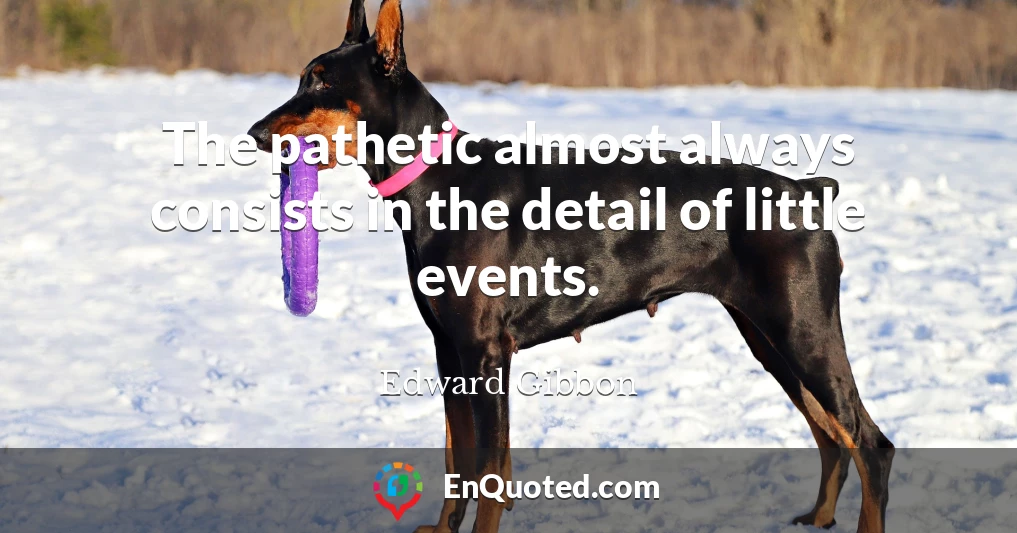 The pathetic almost always consists in the detail of little events.