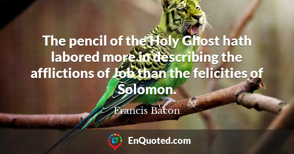 The pencil of the Holy Ghost hath labored more in describing the afflictions of Job than the felicities of Solomon.