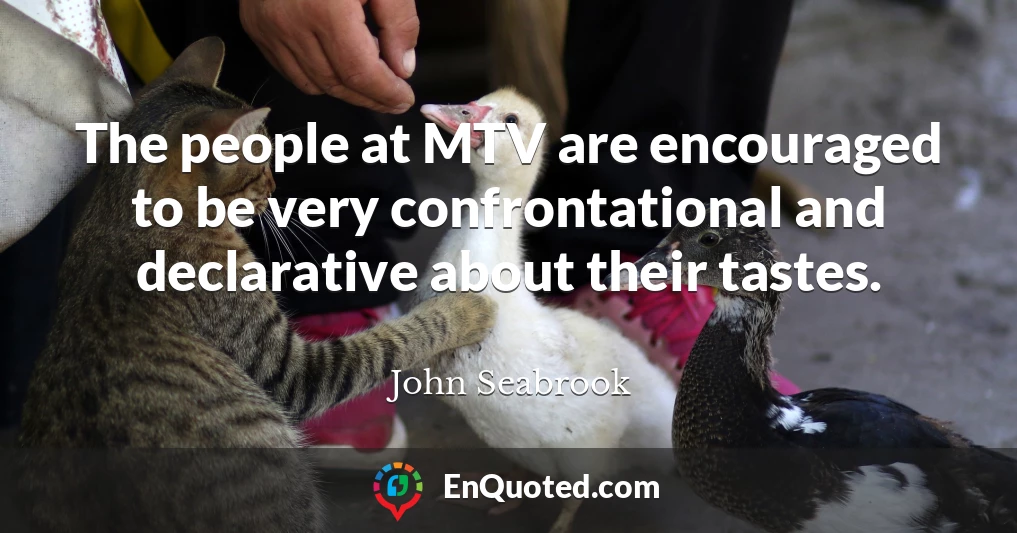 The people at MTV are encouraged to be very confrontational and declarative about their tastes.