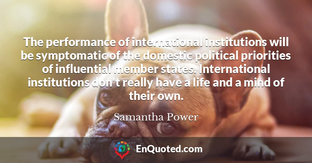 The performance of international institutions will be symptomatic of the domestic political priorities of influential member states. International institutions don't really have a life and a mind of their own.