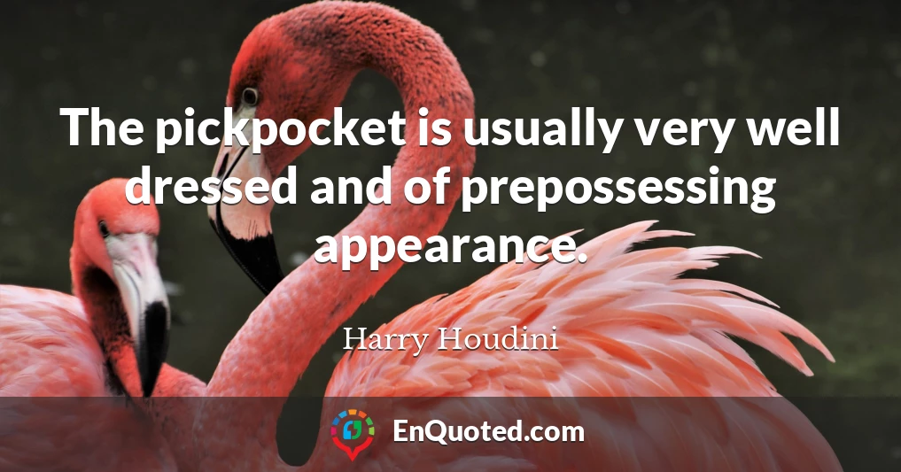 The pickpocket is usually very well dressed and of prepossessing appearance.