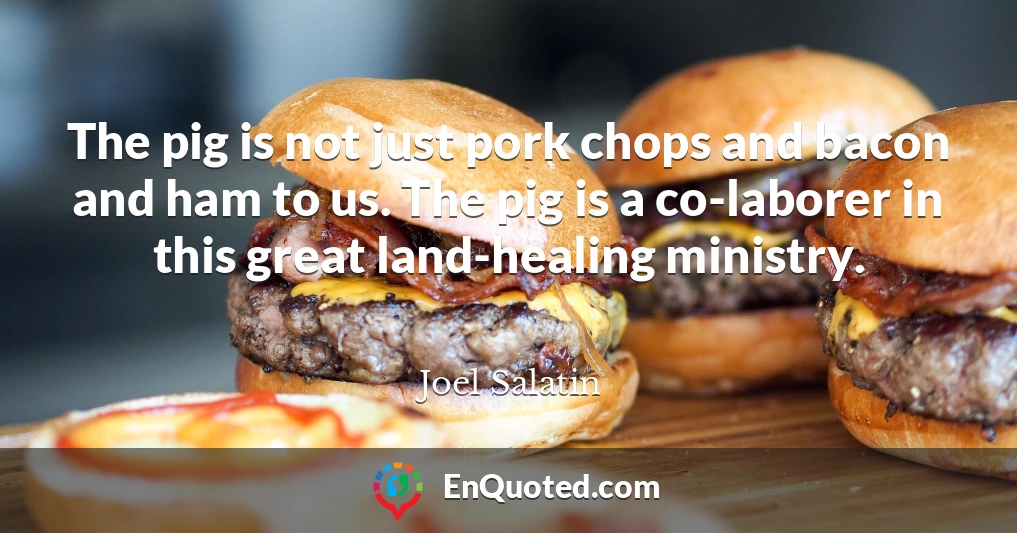 The pig is not just pork chops and bacon and ham to us. The pig is a co-laborer in this great land-healing ministry.