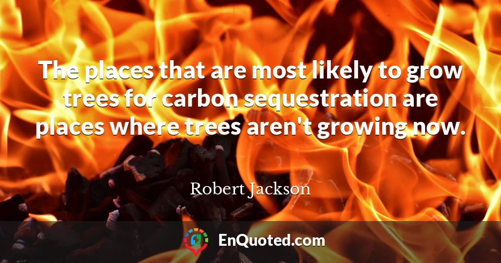 The places that are most likely to grow trees for carbon sequestration are places where trees aren't growing now.