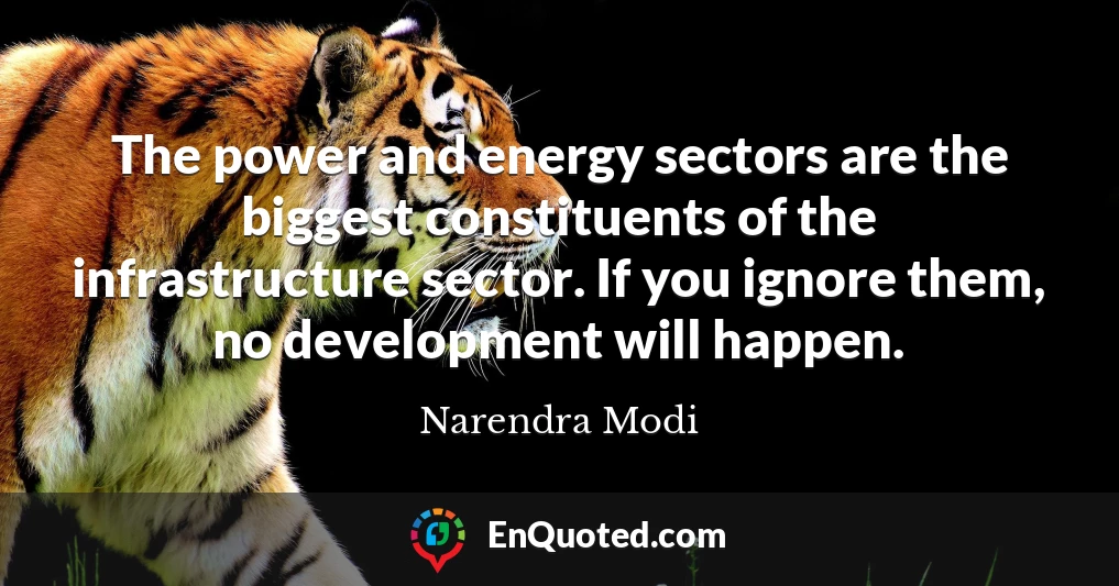 The power and energy sectors are the biggest constituents of the infrastructure sector. If you ignore them, no development will happen.