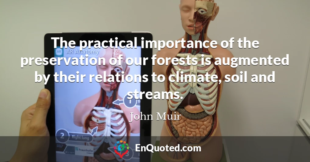 The practical importance of the preservation of our forests is augmented by their relations to climate, soil and streams.