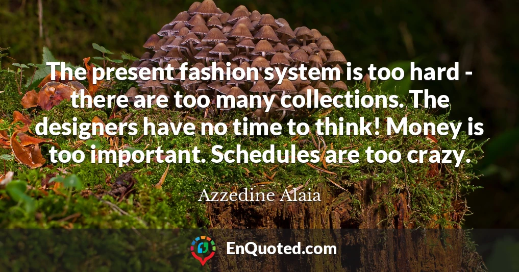 The present fashion system is too hard - there are too many collections. The designers have no time to think! Money is too important. Schedules are too crazy.