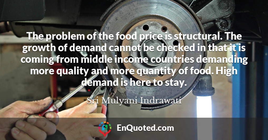 The problem of the food price is structural. The growth of demand cannot be checked in that it is coming from middle income countries demanding more quality and more quantity of food. High demand is here to stay.