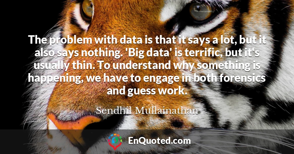 The problem with data is that it says a lot, but it also says nothing. 'Big data' is terrific, but it's usually thin. To understand why something is happening, we have to engage in both forensics and guess work.