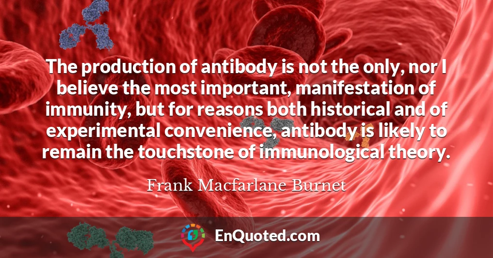 The production of antibody is not the only, nor I believe the most important, manifestation of immunity, but for reasons both historical and of experimental convenience, antibody is likely to remain the touchstone of immunological theory.