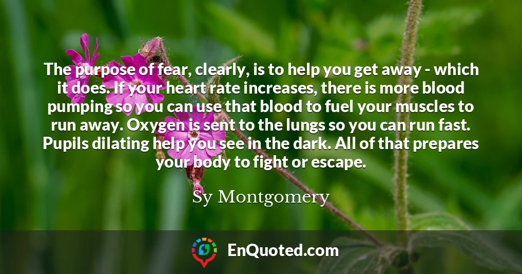 The purpose of fear, clearly, is to help you get away - which it does. If your heart rate increases, there is more blood pumping so you can use that blood to fuel your muscles to run away. Oxygen is sent to the lungs so you can run fast. Pupils dilating help you see in the dark. All of that prepares your body to fight or escape.