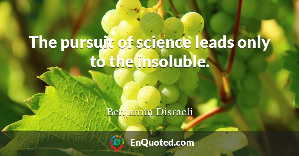 The pursuit of science leads only to the insoluble.