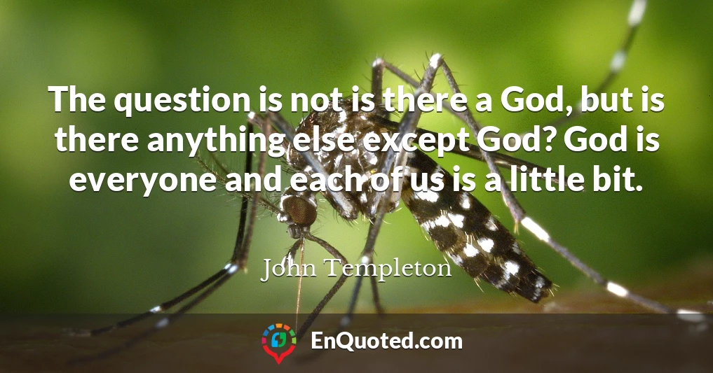 The question is not is there a God, but is there anything else except God? God is everyone and each of us is a little bit.