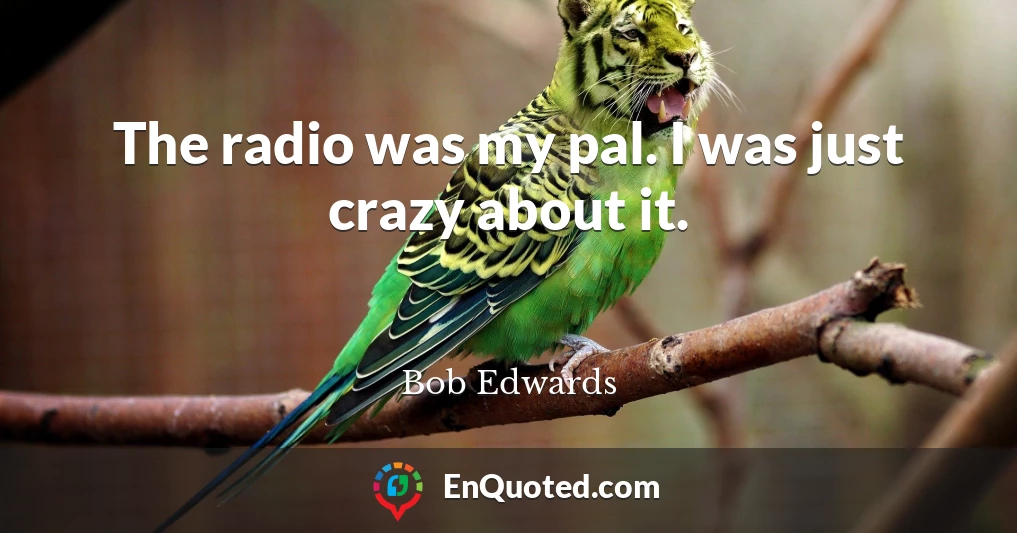 The radio was my pal. I was just crazy about it.