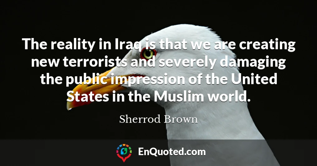 The reality in Iraq is that we are creating new terrorists and severely damaging the public impression of the United States in the Muslim world.