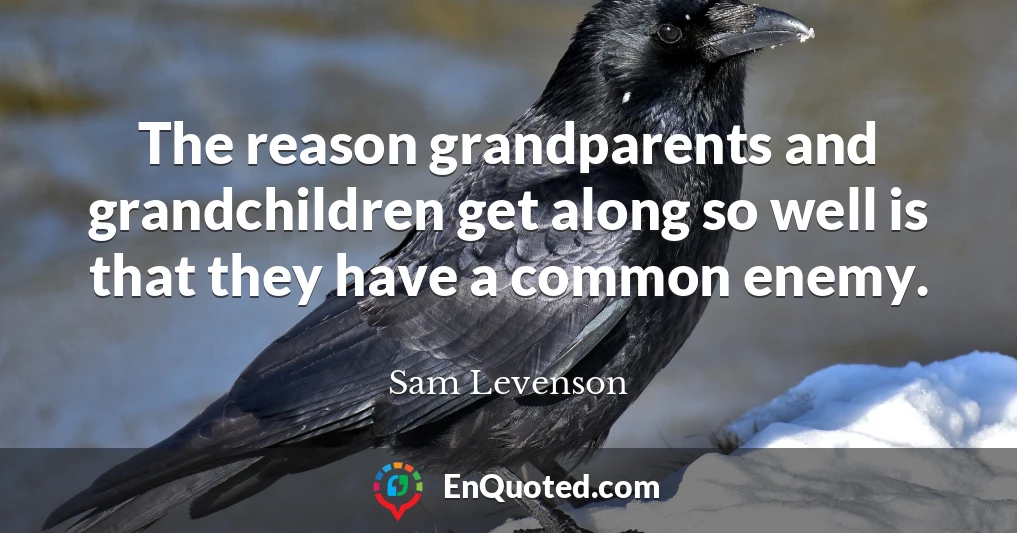 The reason grandparents and grandchildren get along so well is that they have a common enemy.