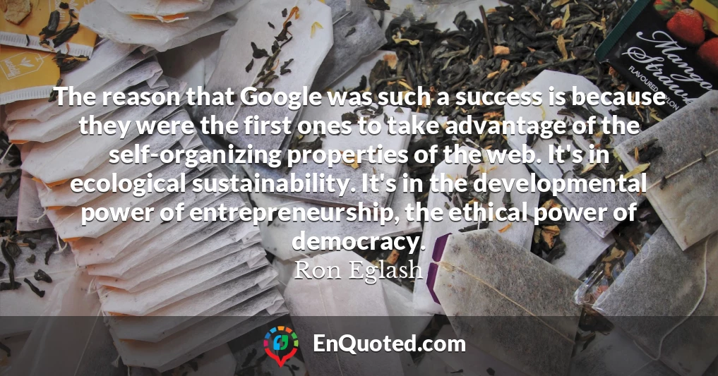 The reason that Google was such a success is because they were the first ones to take advantage of the self-organizing properties of the web. It's in ecological sustainability. It's in the developmental power of entrepreneurship, the ethical power of democracy.