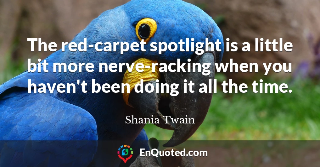 The red-carpet spotlight is a little bit more nerve-racking when you haven't been doing it all the time.