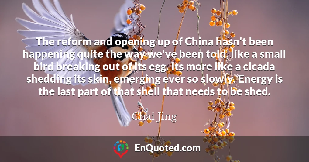The reform and opening up of China hasn't been happening quite the way we've been told, like a small bird breaking out of its egg. Its more like a cicada shedding its skin, emerging ever so slowly. Energy is the last part of that shell that needs to be shed.