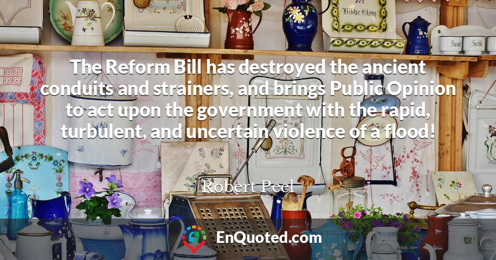 The Reform Bill has destroyed the ancient conduits and strainers, and brings Public Opinion to act upon the government with the rapid, turbulent, and uncertain violence of a flood!