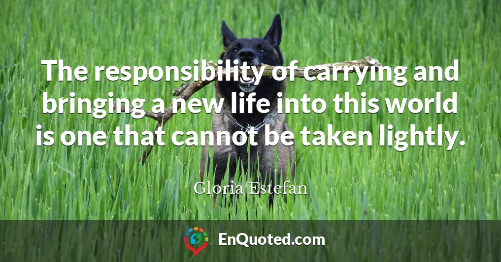 The responsibility of carrying and bringing a new life into this world is one that cannot be taken lightly.